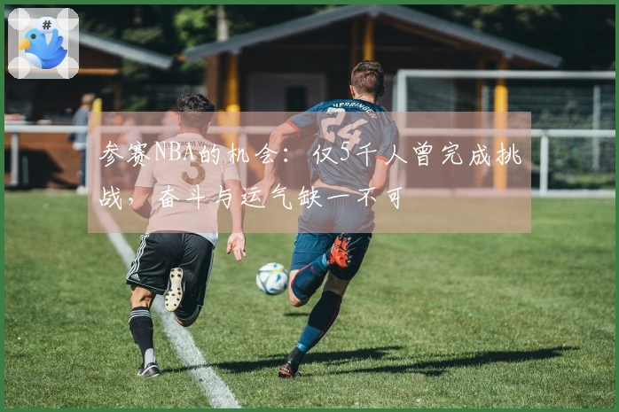 参赛NBA的机会：仅5千人曾完成挑战，奋斗与运气缺一不可